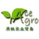 ACE AGRO ENTERPRISE PLT